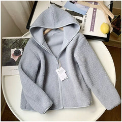 New Autumn Winter Imitation Lamb Wool Coat Women Warm Polar Fleece Thicken Hooded Short Outerwear Woman Loose Cardigan Tops